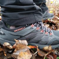 Chaussures basses